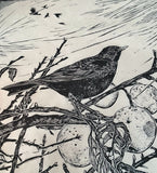 East Winds-blackbird