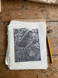 Song Thrush- Circuition limited edition lino cut print by Lou Tonkin
