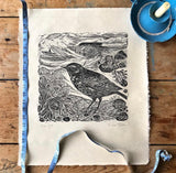 Rock Pipit, original lino cut print by Lou Tonkin