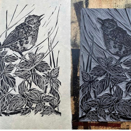 Dunnock ‘singing into the Wind’