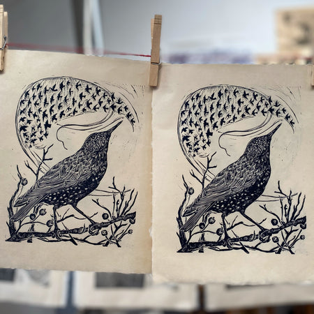 Starling- Sky Dancer limited edition lino cut print by Lou Tonkin