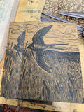 Swallow book