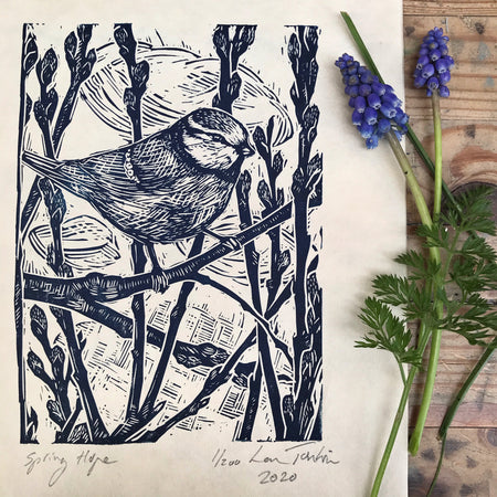 Blue tit print ‘Spring Hope’ by Lou Tonkin